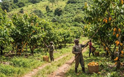 Climate-Smart Farming: Preparing for Future Challenges