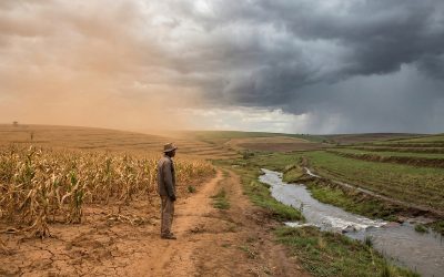 The Impact of Climate Change on Southern Africa’s Agriculture